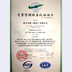 绿宝电缆集团质量体系认证
